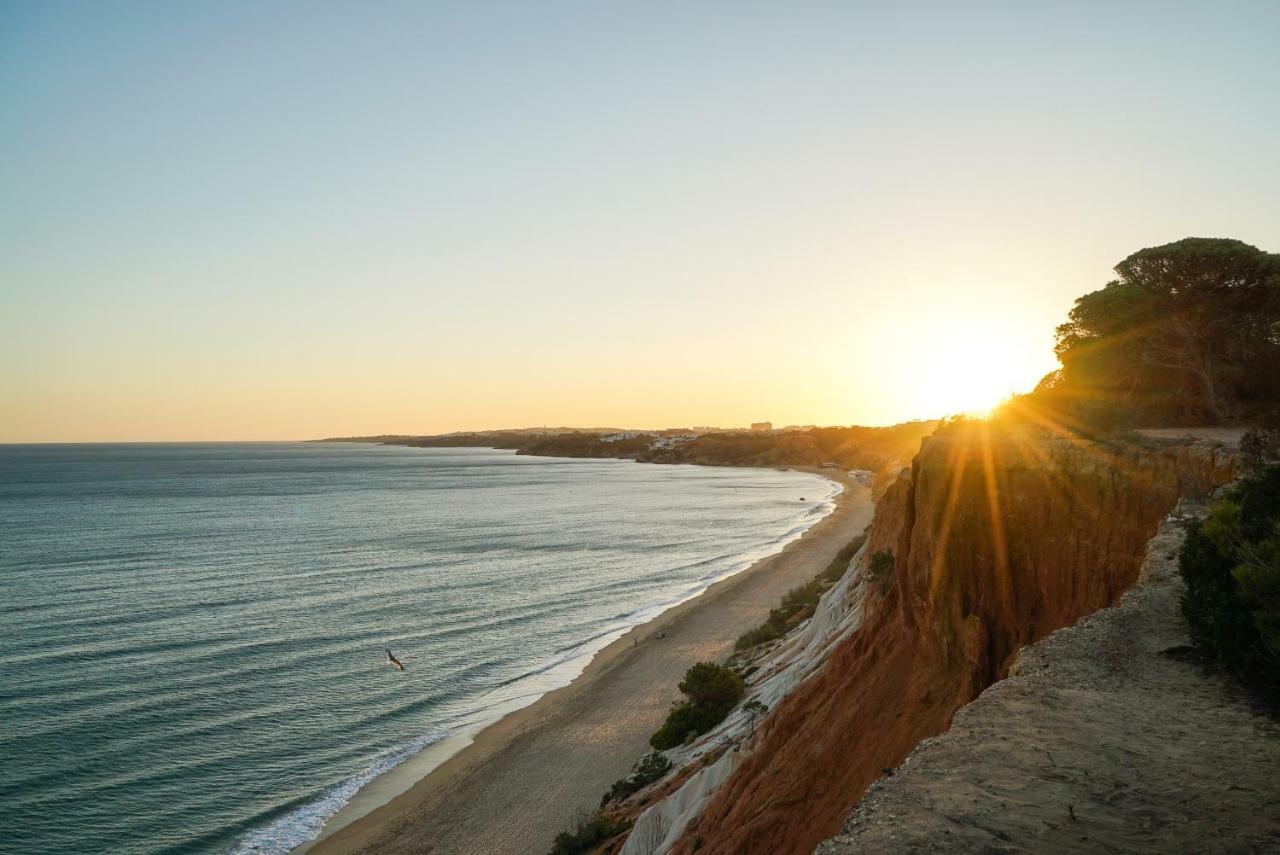 Falesia Beach Villa By The Portuguese Butler オーリョス・デ・アーグァ エクステリア 写真
